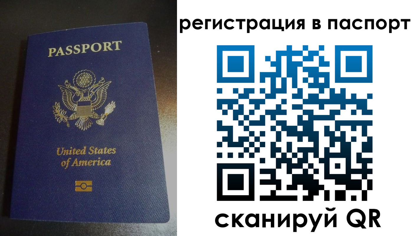 прописка для школы в Светлом